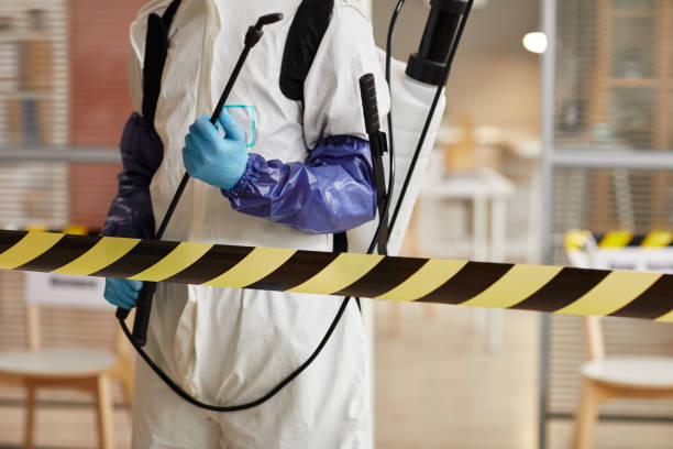 Professional Sewage Cleanup technician working in Ramsey, MN
